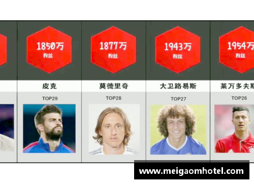 全球体育明星球迷数量排行榜 谁的粉丝最多？