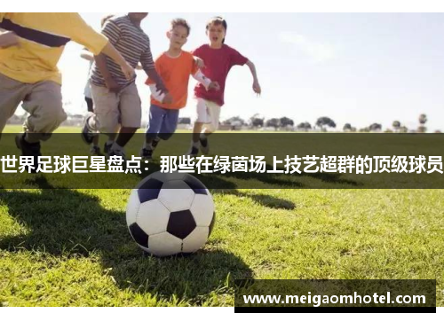 世界足球巨星盘点：那些在绿茵场上技艺超群的顶级球员