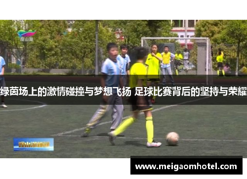 绿茵场上的激情碰撞与梦想飞扬 足球比赛背后的坚持与荣耀