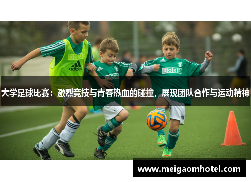 大学足球比赛：激烈竞技与青春热血的碰撞，展现团队合作与运动精神