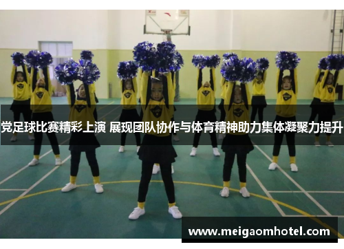党足球比赛精彩上演 展现团队协作与体育精神助力集体凝聚力提升