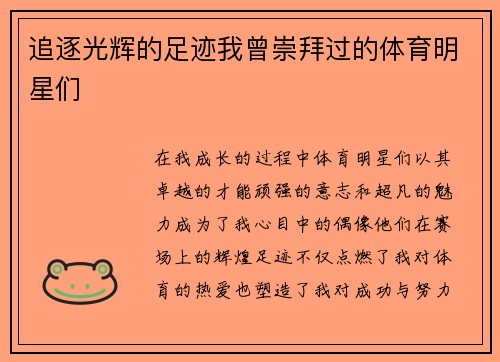 追逐光辉的足迹我曾崇拜过的体育明星们